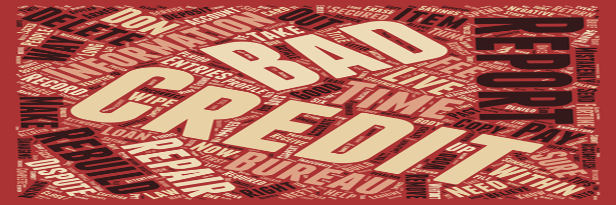 Rebuild Credit Score