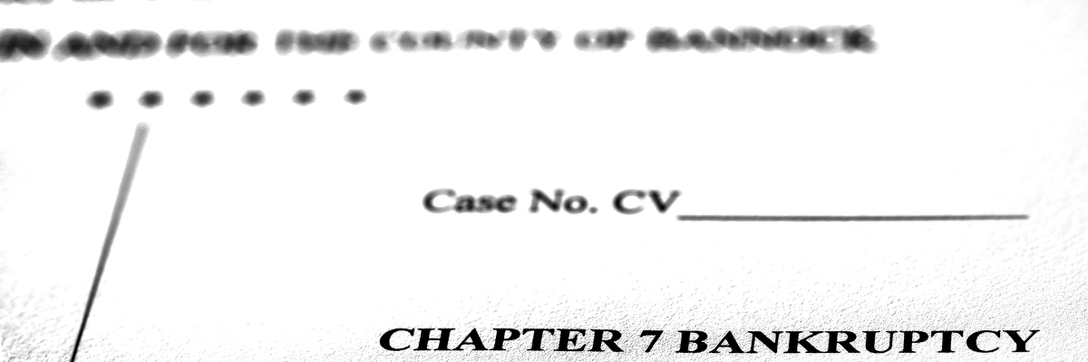 Chapter 7 Bankruptcy