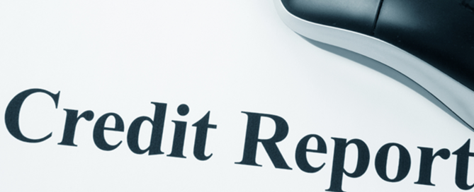 Credit Report